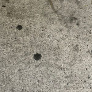 Meet your Posher, Jorge